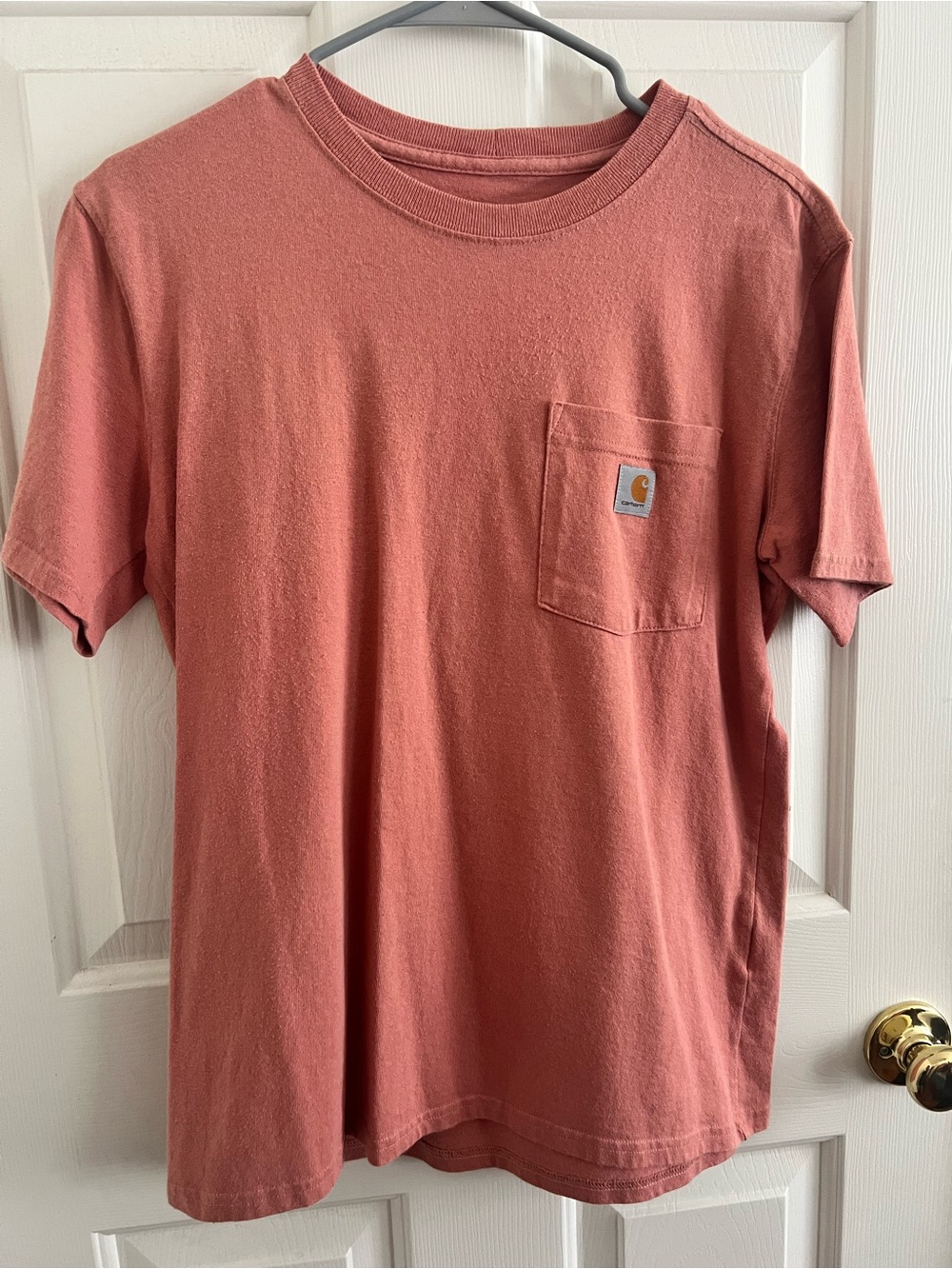 Carhartt Short Sleeve Pocket Tee in Dusty Rose